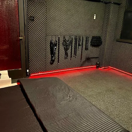 公寓 Kinky Red Plesure 布加勒斯特